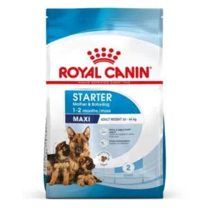 Royal Canin Maxi Starter